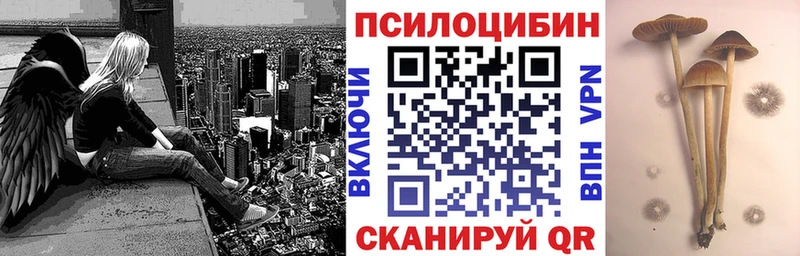 Псилоцибиновые грибы MAGIC MUSHROOMS Калининск